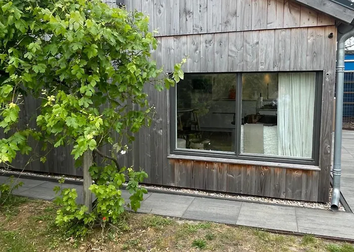 Chalé Strandhuisje Anna Dicht Bij De Zee Ouddorp